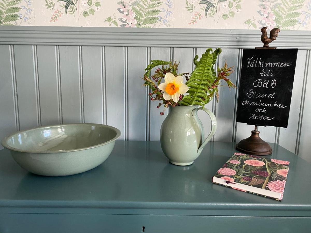 B&B Bland Ormbunkar Och Rosor 法尔肯贝里 外观 照片