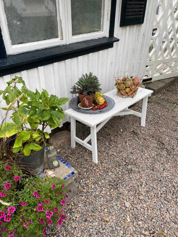 B&B Bland Ormbunkar Och Rosor 法尔肯贝里 外观 照片